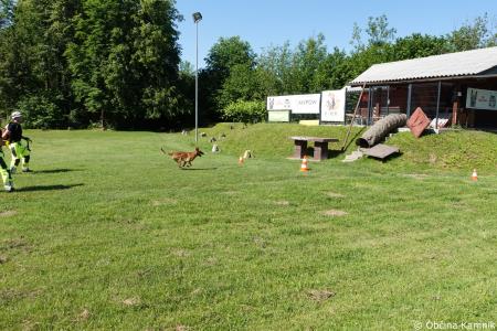 Predstavitvena vaja Kinološkega društva Duplica  (31)